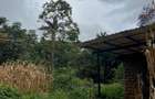 0.9 ac Land in Westlands Area - 2