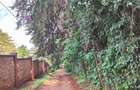 2 ac Land at Lantana Road - 10