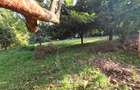 1 ac Land in Runda - 3
