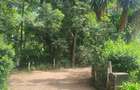Residential Land at Ndege Road - 10
