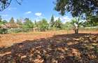 Residential Land at Flem Tree - 15