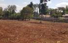 Residential Land at Flem Tree Off Ruaka Road - 7