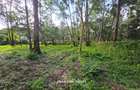 0.5 ac Land in Lake View - 2