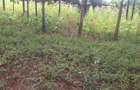 0.113 ac Commercial Land in Ongata Rongai - 14