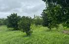 Land in Kilifi - 9