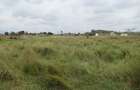 Land at Off Thika Rd - 9