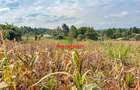 0.05 ha Residential Land in Kamangu - 4