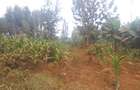 0.75 ac Land at Thindigua - 4