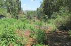 Land at Off Limuru Rd - 6