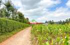 0.05 ha Land in Limuru - 2