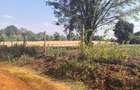 Land at Muhuri Road - 3