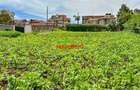 0.05 ha Commercial Land in Kikuyu Town - 7