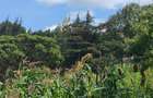 Land at Kibiko - 3