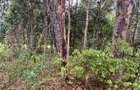 10 ac Commercial Land at Langata South Road - 1