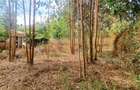500 m² Residential Land at Gikambura Primary - 4