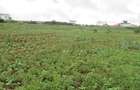 4.5 ac Land at Kibiko - 3