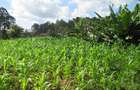 Land at Off Kiambu Rd - 8