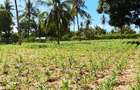 Land at Kilifi Tezo - 14