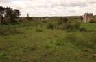 10 ac Land at Witeithie - 1