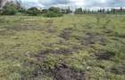 0.1 ha Residential Land in Ongata Rongai - 12