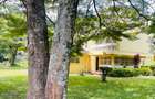 Residential Land in Lavington - 12