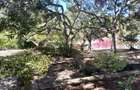3 Bed Villa with En Suite in Watamu - 4