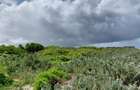 Land in Watamu - 4