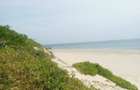 Land in Malindi - 1