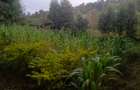 Land in Ngong - 1