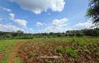 5.7 ac Land in Runda - 5