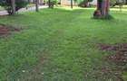 Land in Kileleshwa - 9