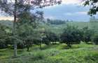 0.125 ac Residential Land at Juja Gatundu Road - 24