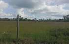 Land in Karen - 6
