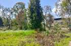 0.5 m² Land at Ndege Road - 9