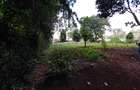 Residential Land at Kirawa Road - 5
