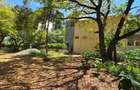 1 ac Land at Hemingways - 6