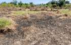 5 ac Land at Utange - 7
