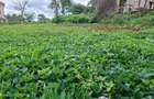 0.25 ac Land in Runda - 1