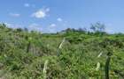 1,012 m² Land in Diani - 1