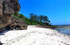 167.5 ac Land at Kuruwitu Beach - 15