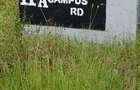 0.215 ac Residential Land at Chuna - 3