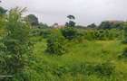 Land in Shanzu - 14