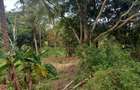 6 ac Land at Msambweni - 1