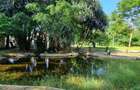 3.7 ac Land at Serena - 11