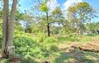Residential Land at Shanzu Road - 17