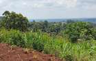 Land at Matasia - 3