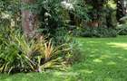 1.2 ac Land in Runda - 4