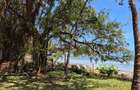 2 ac Land at Bamburi Beach - 6