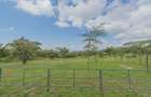 10 ac Land at Kisuri Hills - 8