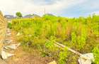 0.05 ha Residential Land at Thigio - 3